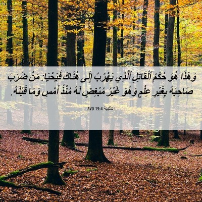 Picture 06 - اَلتَّثْنِيَة 19:4 AVD - وَهَذَا هُوَ حُكْمُ - Bible Verse Picture