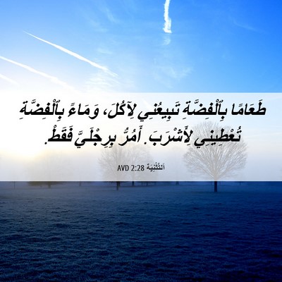 Picture 06 - اَلتَّثْنِيَة 2:28 AVD - طَعَامًا بِٱلْفِضَّةِ - Bible Verse Picture