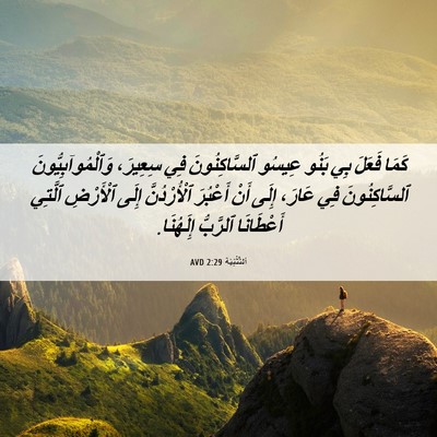 Picture 06 - اَلتَّثْنِيَة 2:29 AVD - كَمَا فَعَلَ بِي بَنُو - Bible Verse Picture