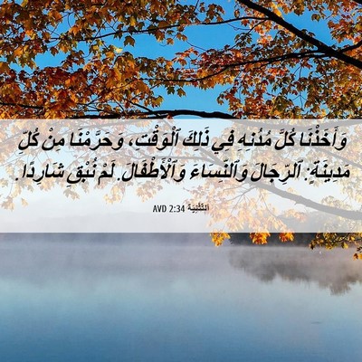 Picture 06 - اَلتَّثْنِيَة 2:34 AVD - وَأَخَذْنَا كُلَّ - Bible Verse Picture