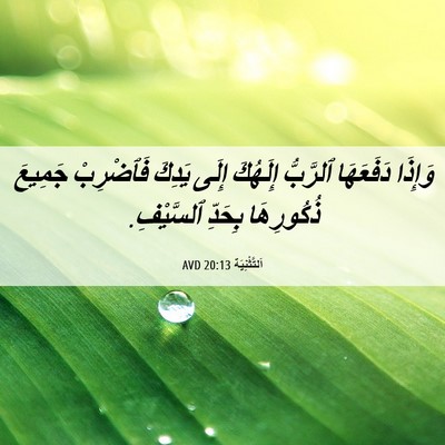 Picture 06 - اَلتَّثْنِيَة 20:13 AVD - وَإِذَا دَفَعَهَا - Bible Verse Picture