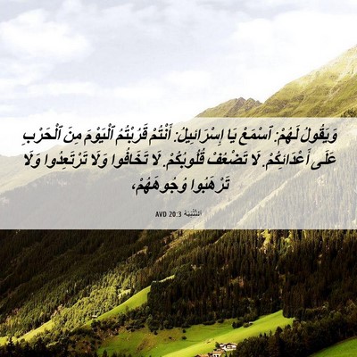 Picture 06 - اَلتَّثْنِيَة 20:3 AVD - وَيَقُولُ لَهُمْ: ٱسْمَعْ - Bible Verse Picture