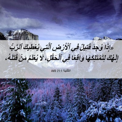 Picture 06 - اَلتَّثْنِيَة 21:1 AVD - «إِذَا وُجِدَ قَتِيلٌ فِي - Bible Verse Picture
