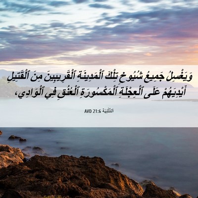 Picture 06 - اَلتَّثْنِيَة 21:6 AVD - وَيَغْسِلُ جَمِيعُ - Bible Verse Picture
