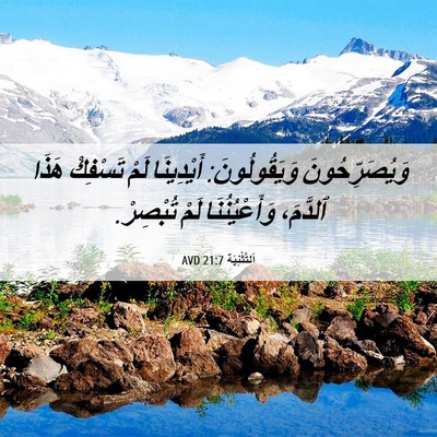 Picture 06 - اَلتَّثْنِيَة 21:7 AVD - وَيُصَرِّحُونَ - Bible Verse Picture
