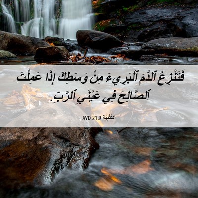 Picture 06 - اَلتَّثْنِيَة 21:9 AVD - فَتَنْزِعُ ٱلدَّمَ - Bible Verse Picture