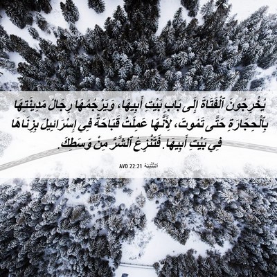 Picture 06 - اَلتَّثْنِيَة 22:21 AVD - يُخْرِجُونَ ٱلْفَتَاةَ - Bible Verse Picture