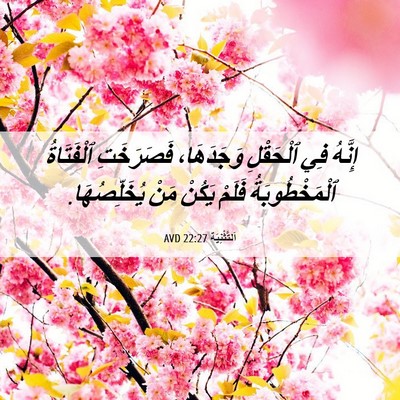 Picture 06 - اَلتَّثْنِيَة 22:27 AVD - إِنَّهُ فِي ٱلْحَقْلِ - Bible Verse Picture