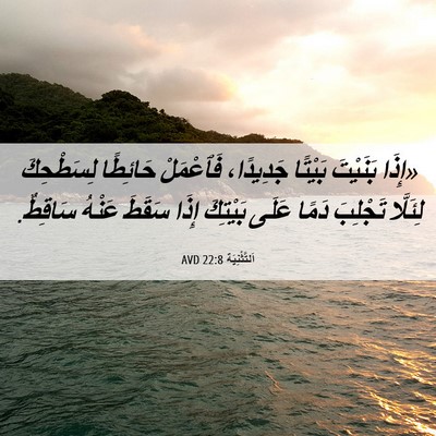 Picture 06 - اَلتَّثْنِيَة 22:8 AVD - «إِذَا بَنَيْتَ بَيْتًا - Bible Verse Picture