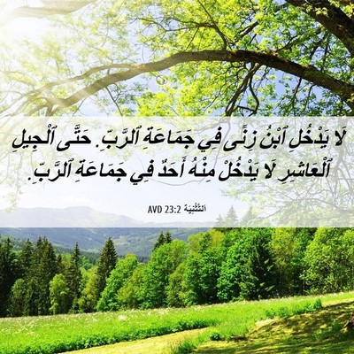Picture 06 - اَلتَّثْنِيَة 23:2 AVD - لَا يَدْخُلِ ٱبْنُ زِنًى - Bible Verse Picture