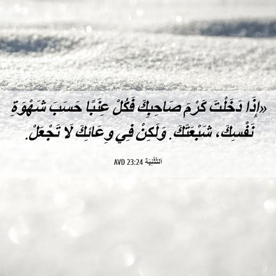Picture 06 - اَلتَّثْنِيَة 23:24 AVD - «إِذَا دَخَلْتَ كَرْمَ - Bible Verse Picture