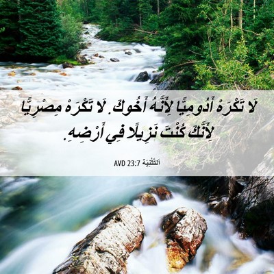 Picture 06 - اَلتَّثْنِيَة 23:7 AVD - لَا تَكْرَهْ أَدُومِيًّا - Bible Verse Picture