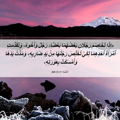 Picture 06 - اَلتَّثْنِيَة 25:11 AVD - «إِذَا تَخَاصَمَ - Bible Verse Picture