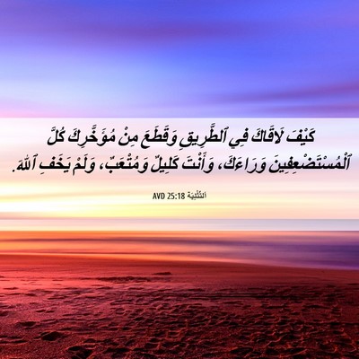 Picture 06 - اَلتَّثْنِيَة 25:18 AVD - كَيْفَ لَاقَاكَ فِي - Bible Verse Picture