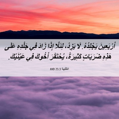 Picture 06 - اَلتَّثْنِيَة 25:3 AVD - أَرْبَعِينَ يَجْلِدُهُ. - Bible Verse Picture