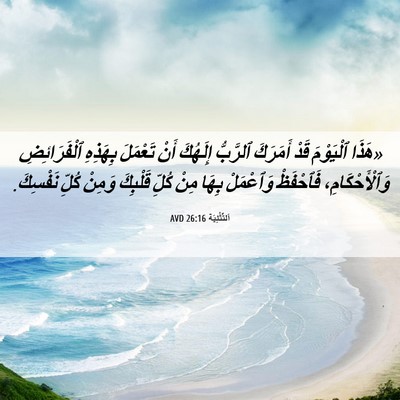 Picture 06 - اَلتَّثْنِيَة 26:16 AVD - «هَذَا ٱلْيَوْمَ قَدْ - Bible Verse Picture