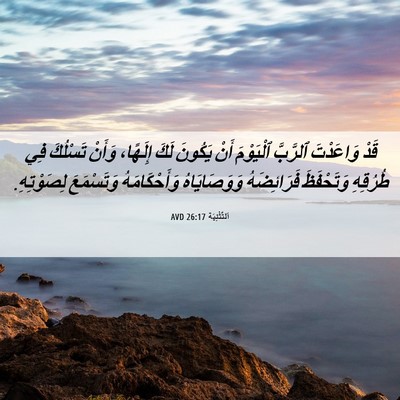 Picture 06 - اَلتَّثْنِيَة 26:17 AVD - قَدْ وَاعَدْتَ ٱلرَّبَّ - Bible Verse Picture