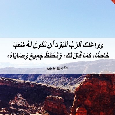 Picture 06 - اَلتَّثْنِيَة 26:18 AVD - وَوَاعَدَكَ ٱلرَّبُّ - Bible Verse Picture