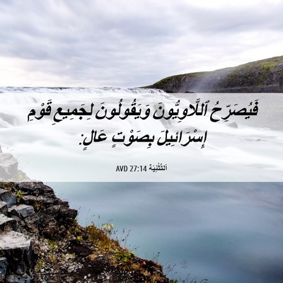 Picture 06 - اَلتَّثْنِيَة 27:14 AVD - فَيُصَرِّحُ - Bible Verse Picture