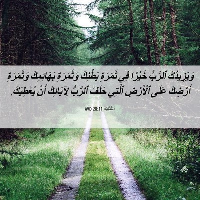 Picture 06 - اَلتَّثْنِيَة 28:11 AVD - وَيَزِيدُكَ ٱلرَّبُّ - Bible Verse Picture