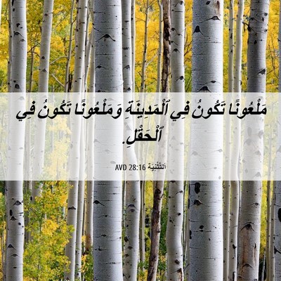 Picture 06 - اَلتَّثْنِيَة 28:16 AVD - مَلْعُونًا تَكُونُ فِي - Bible Verse Picture