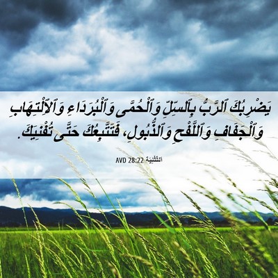 Picture 06 - اَلتَّثْنِيَة 28:22 AVD - يَضْرِبُكَ ٱلرَّبُّ - Bible Verse Picture