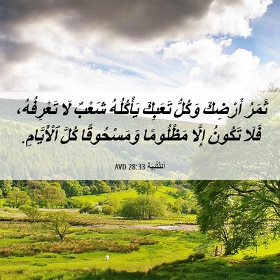 Picture 06 - اَلتَّثْنِيَة 28:33 AVD - ثَمَرُ أَرْضِكَ وَكُلُّ - Bible Verse Picture