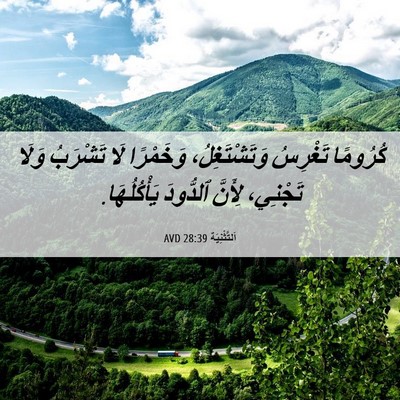 Picture 06 - اَلتَّثْنِيَة 28:39 AVD - كُرُومًا تَغْرِسُ - Bible Verse Picture