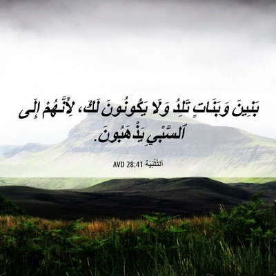 Picture 06 - اَلتَّثْنِيَة 28:41 AVD - بَنِينَ وَبَنَاتٍ تَلِدُ - Bible Verse Picture