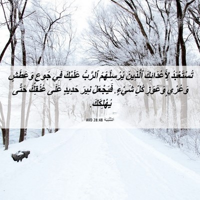 Picture 06 - اَلتَّثْنِيَة 28:48 AVD - تُسْتَعْبَدُ - Bible Verse Picture