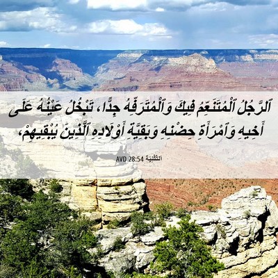 Picture 06 - اَلتَّثْنِيَة 28:54 AVD - ٱلرَّجُلُ ٱلْمُتَنَعِّمُ - Bible Verse Picture
