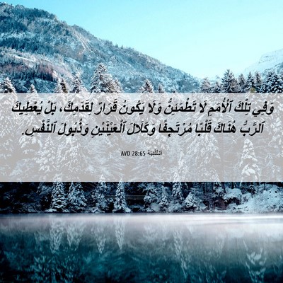 Picture 06 - اَلتَّثْنِيَة 28:65 AVD - وَفِي تِلْكَ ٱلْأُمَمِ لَا - Bible Verse Picture