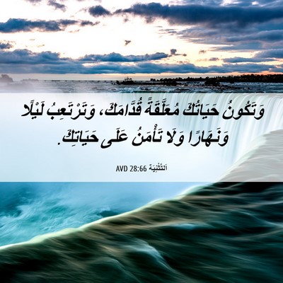 Picture 06 - اَلتَّثْنِيَة 28:66 AVD - وَتَكُونُ حَيَاتُكَ - Bible Verse Picture