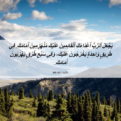 Picture 06 - اَلتَّثْنِيَة 28:7 AVD - يَجْعَلُ ٱلرَّبُّ - Bible Verse Picture