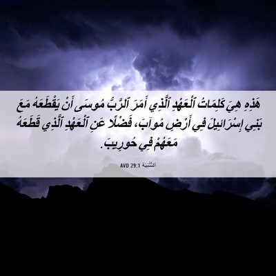 Picture 06 - اَلتَّثْنِيَة 29:1 AVD - هَذِهِ هِيَ كَلِمَاتُ - Bible Verse Picture
