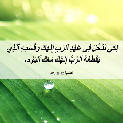 Picture 06 - اَلتَّثْنِيَة 29:12 AVD - لِكَيْ تَدْخُلَ فِي عَهْدِ - Bible Verse Picture