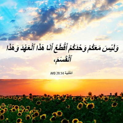Picture 06 - اَلتَّثْنِيَة 29:14 AVD - وَلَيْسَ مَعَكُمْ - Bible Verse Picture