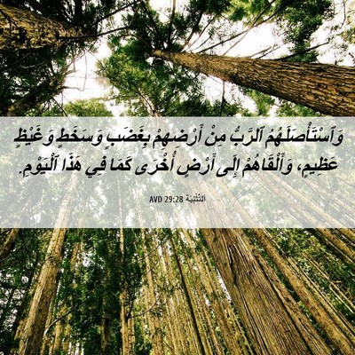 Picture 06 - اَلتَّثْنِيَة 29:28 AVD - وَٱسْتَأْصَلَهُمُ - Bible Verse Picture