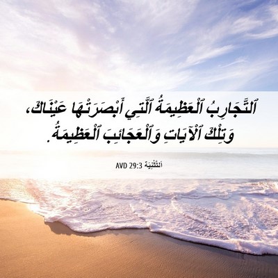 Picture 06 - اَلتَّثْنِيَة 29:3 AVD - ٱلتَّجَارِبُ ٱلْعَظِيمَةُ - Bible Verse Picture