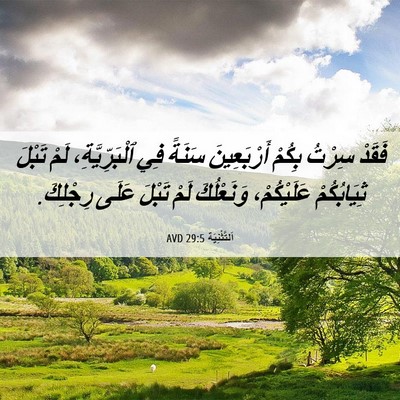 Picture 06 - اَلتَّثْنِيَة 29:5 AVD - فَقَدْ سِرْتُ بِكُمْ - Bible Verse Picture