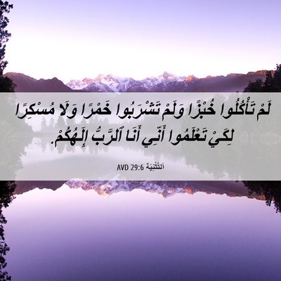 Picture 06 - اَلتَّثْنِيَة 29:6 AVD - لَمْ تَأْكُلُوا خُبْزًا - Bible Verse Picture