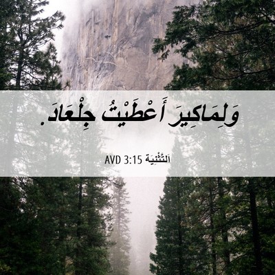 Picture 06 - اَلتَّثْنِيَة 3:15 AVD - وَلِمَاكِيرَ أَعْطَيْتُ - Bible Verse Picture