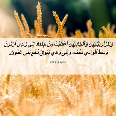 Picture 06 - اَلتَّثْنِيَة 3:16 AVD - وَلِلرَّأُوبَيْنِيِّينَ - Bible Verse Picture