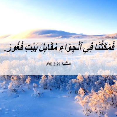 Picture 06 - اَلتَّثْنِيَة 3:29 AVD - فَمَكَثْنَا فِي - Bible Verse Picture