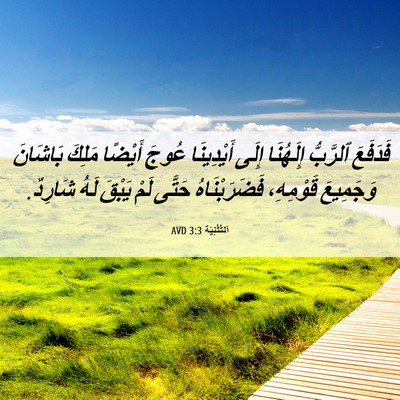 Picture 06 - اَلتَّثْنِيَة 3:3 AVD - فَدَفَعَ ٱلرَّبُّ - Bible Verse Picture