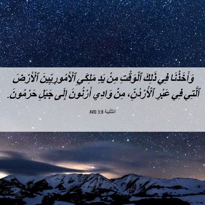 Picture 06 - اَلتَّثْنِيَة 3:8 AVD - وَأَخَذْنَا فِي ذَلِكَ - Bible Verse Picture