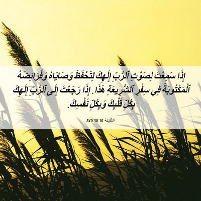 Picture 06 - اَلتَّثْنِيَة 30:10 AVD - إِذَا سَمِعْتَ لِصَوْتِ - Bible Verse Picture