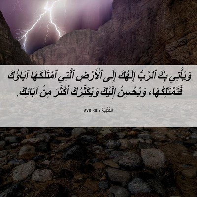Picture 06 - اَلتَّثْنِيَة 30:5 AVD - وَيَأْتِي بِكَ ٱلرَّبُّ - Bible Verse Picture
