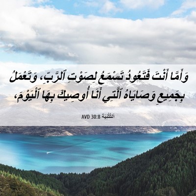 Picture 06 - اَلتَّثْنِيَة 30:8 AVD - وَأَمَّا أَنْتَ فَتَعُودُ - Bible Verse Picture
