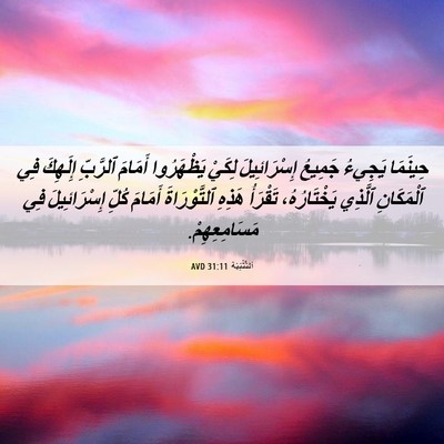 Picture 06 - اَلتَّثْنِيَة 31:11 AVD - حِينَمَا يَجِيءُ جَمِيعُ - Bible Verse Picture